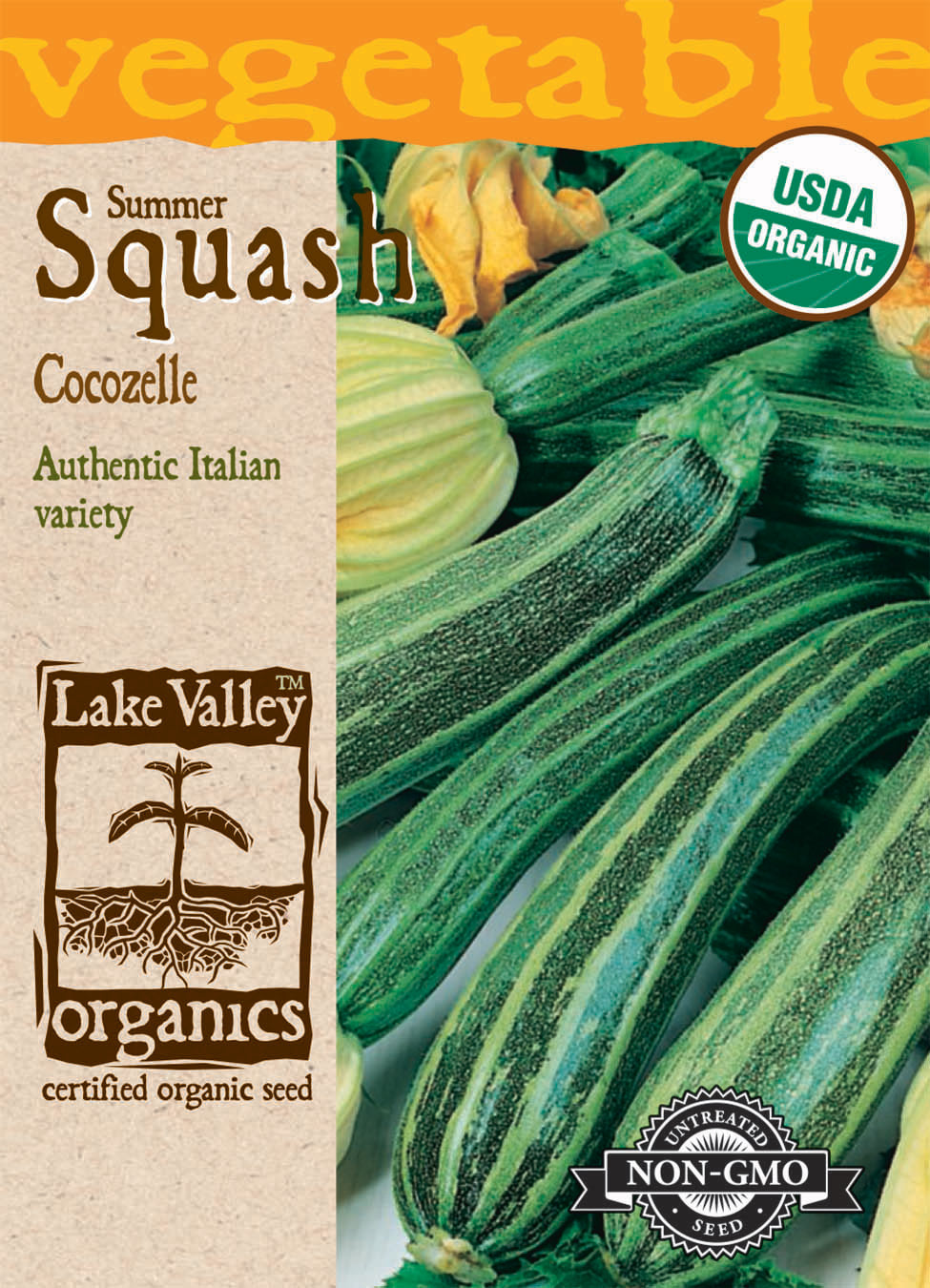 Squash Summer Zucchini Cocozelle Organic LV