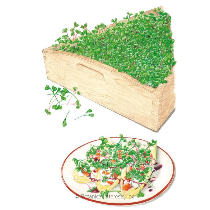 Microgreens Mellow Blend Org BI - Large Packet