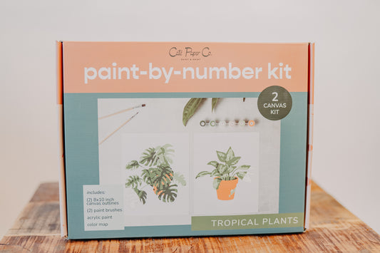 Paint by Number Kit - Assorted