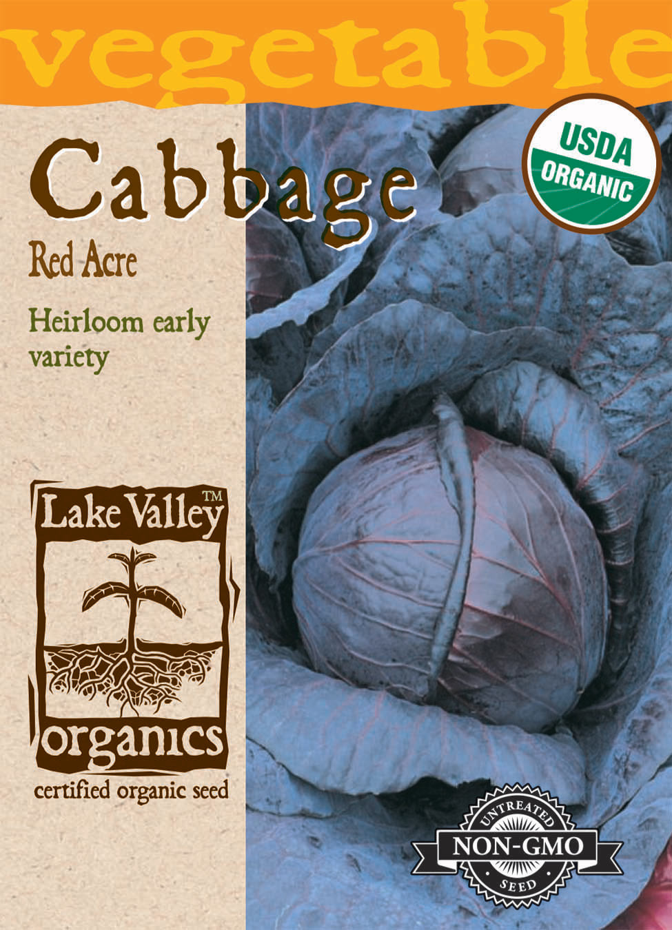 Cabbage Red Acre Heirloom Organic LV