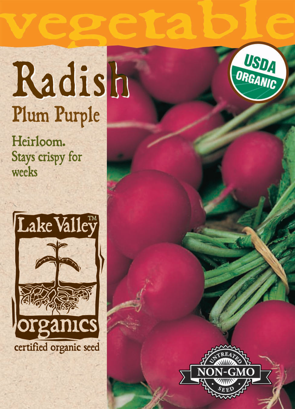 Radish Plum Purple Organic LV