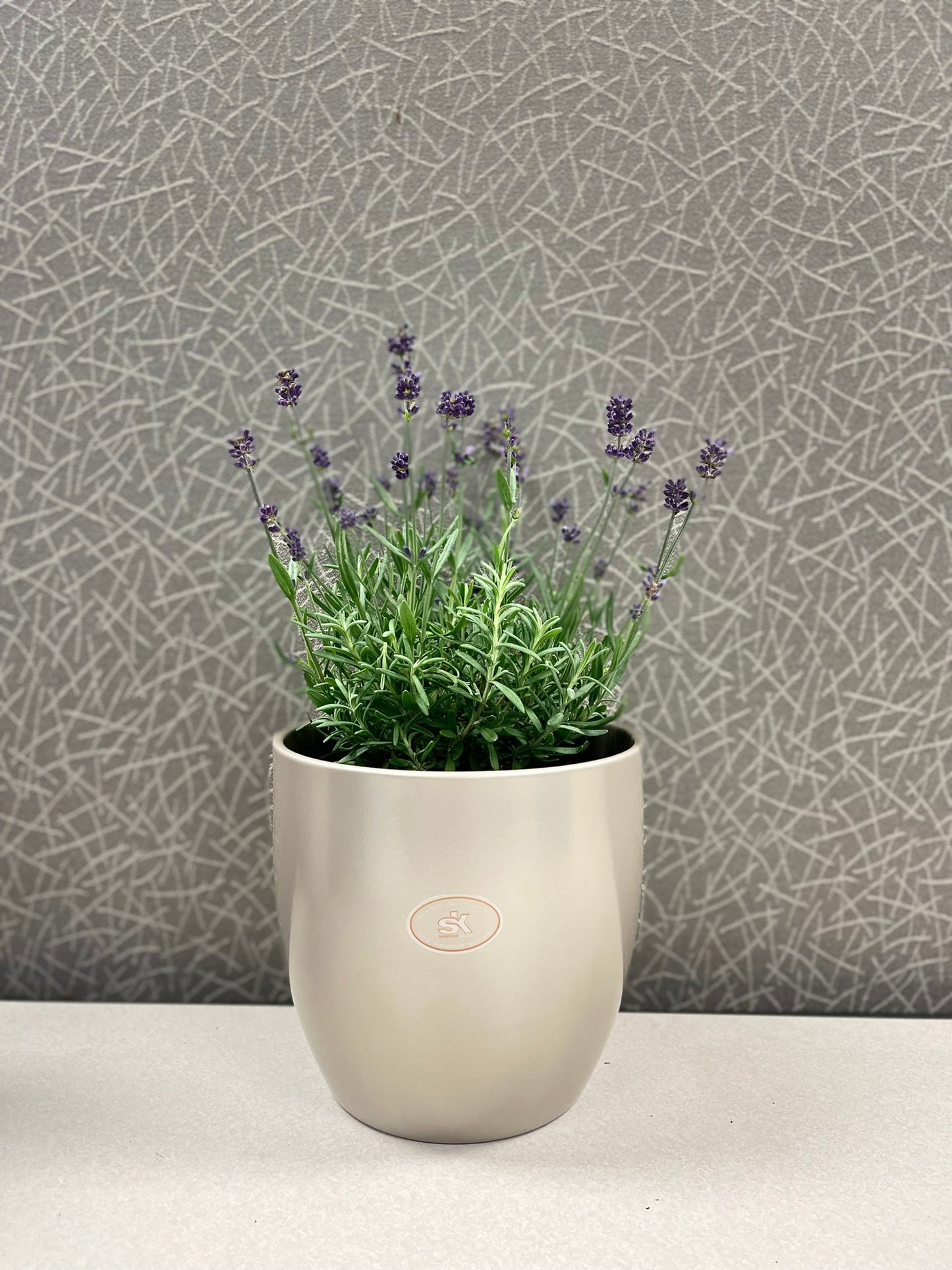 6.3" Gray Beige Metallic Ceramic Basel Elegance Pot