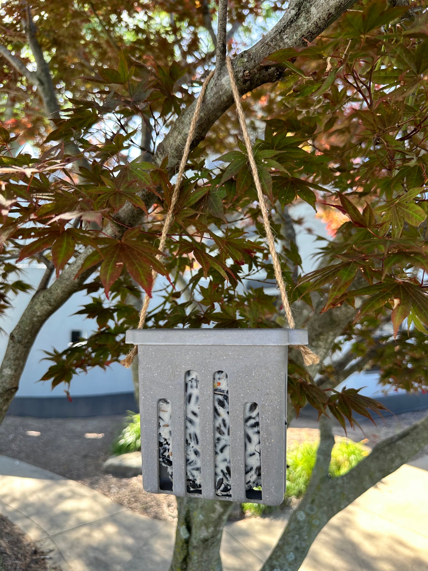 Suet Cake Feeder - Straw