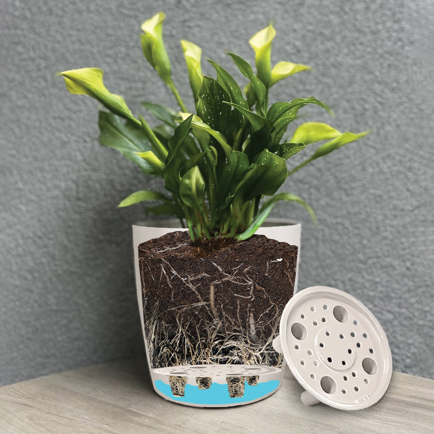 7" Pink Flower Round Self-Watering Bamboo Pot