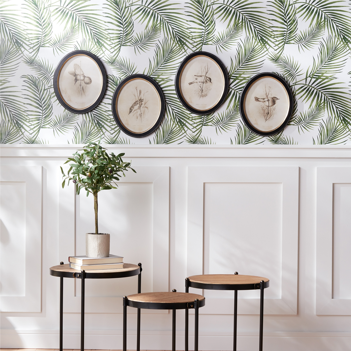 Framed Bird Print (Set of 4)