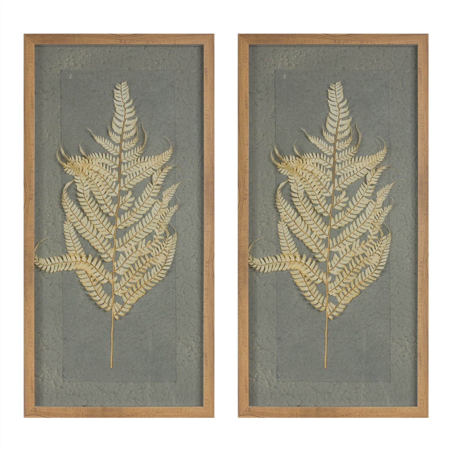 Dried Fern Frame (Set of 2)