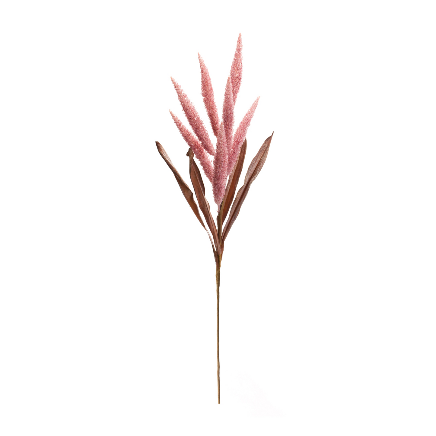 Foxtail Plume Stem (Set of 2)
