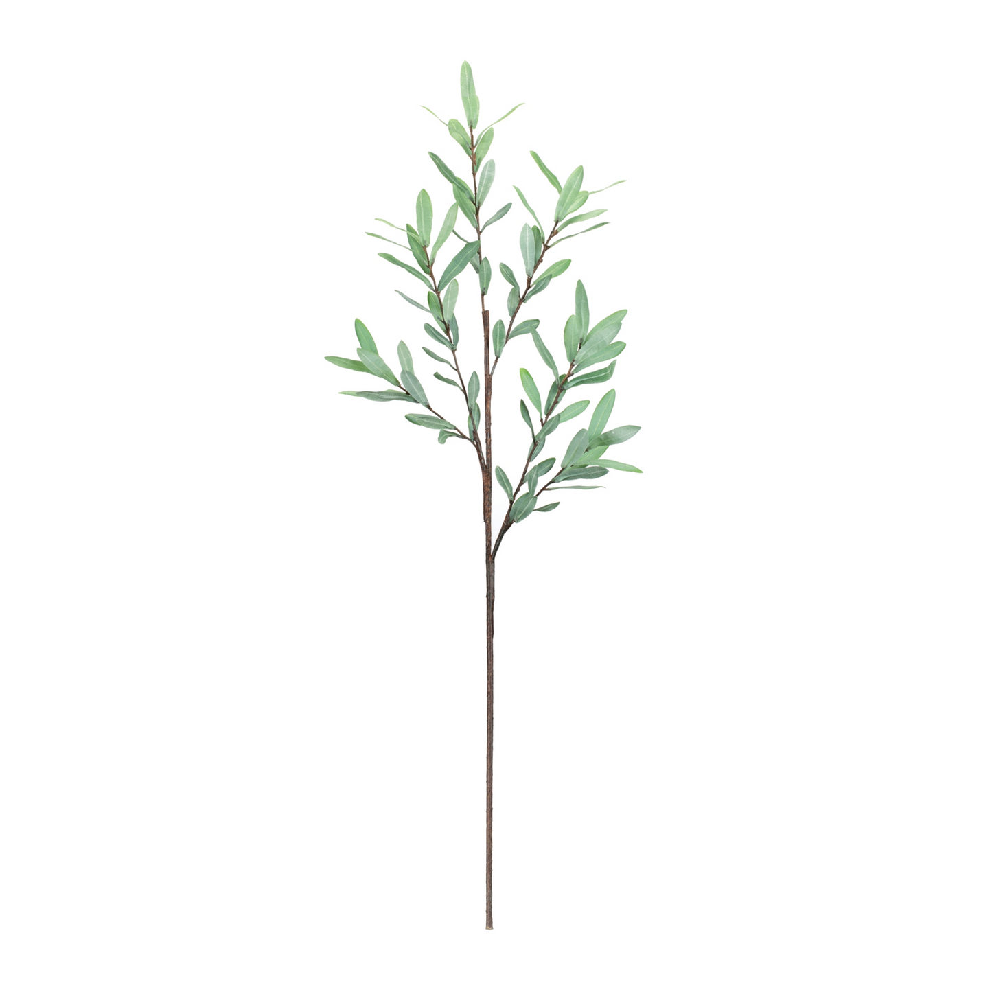 Olive Leaf Twig Branch (Set of 2)