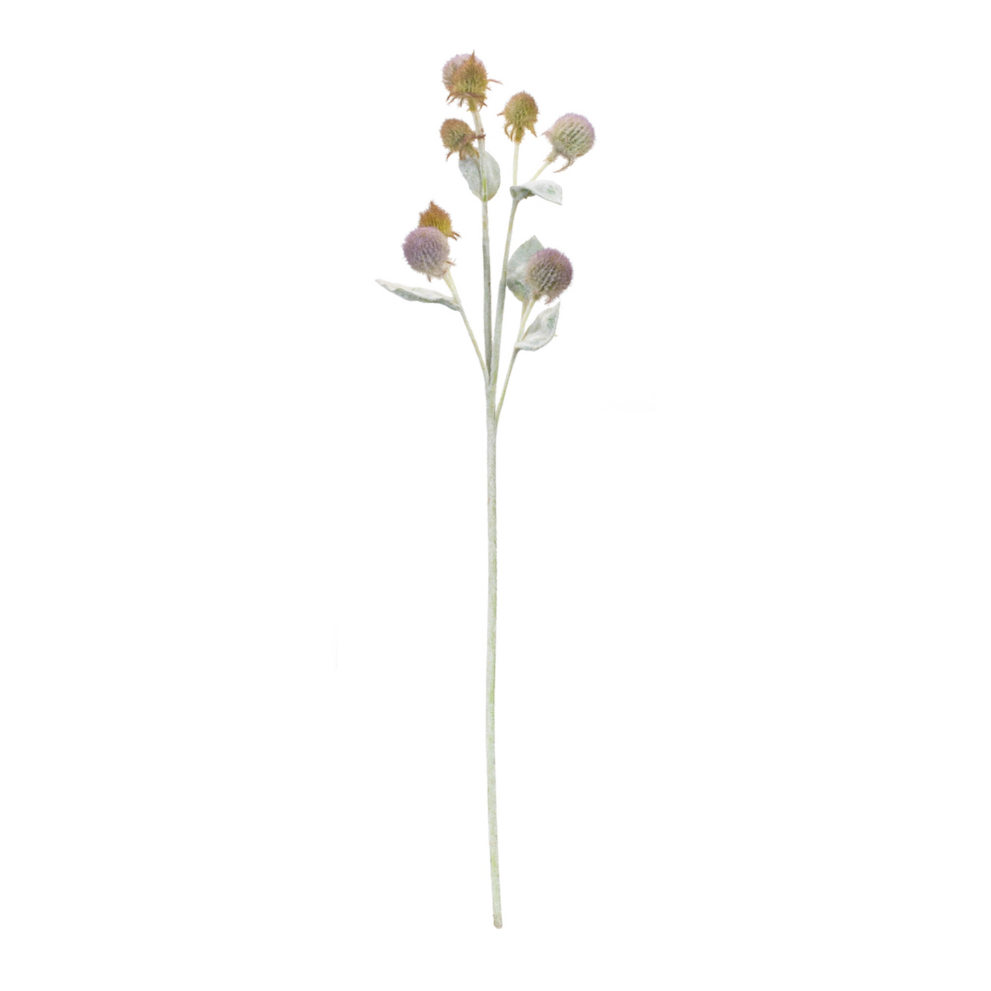 Thistle Foliage Spray (Set of 6)