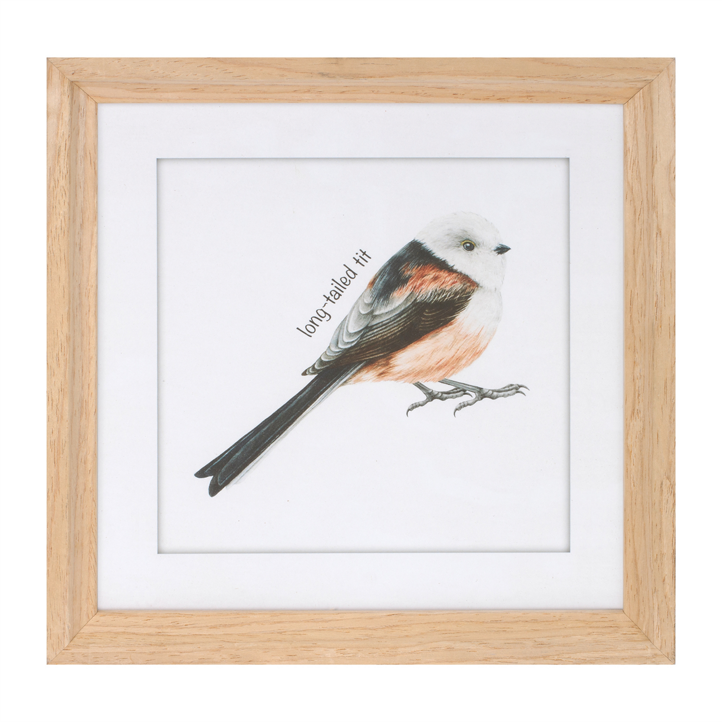 Framed Bird Print Under Glass (Set of 8)