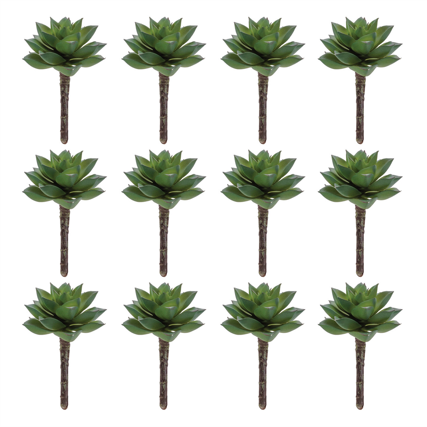 Succulent Plant Pick (Set of 12)