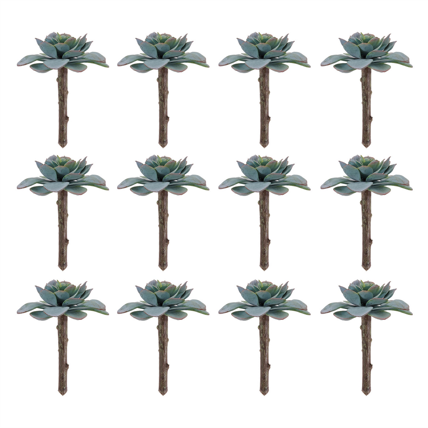 Succulent (Set of 12) 5”H Plastic
