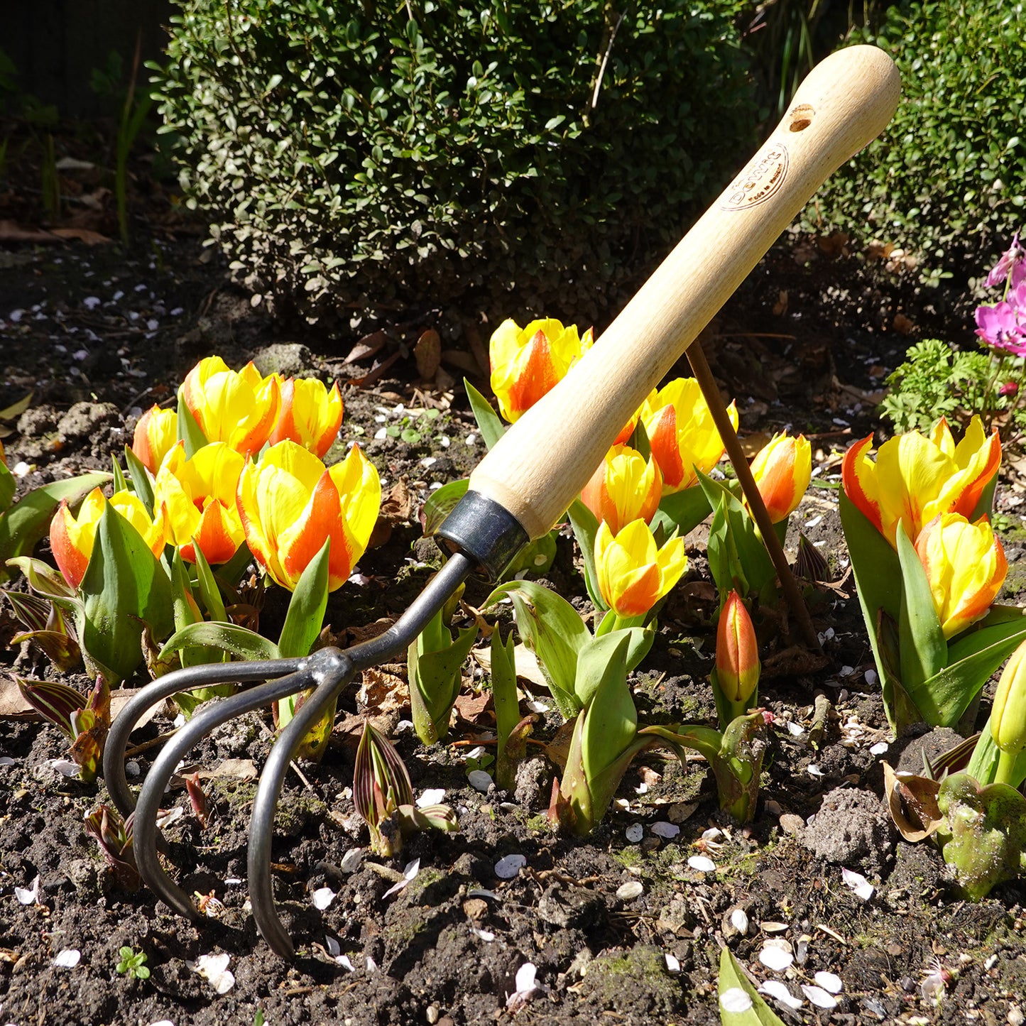 DeWit Cultivator - Midsize Handle