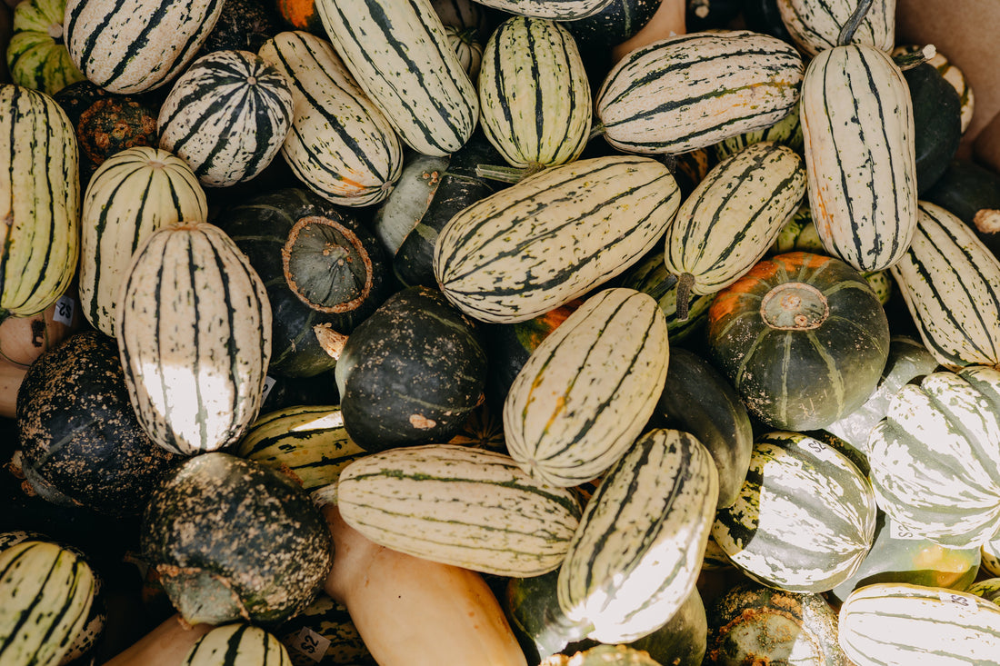 Cozy & Delicious: Squash Recipes to Celebrate Fall