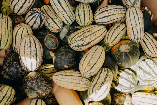 Cozy & Delicious: Squash Recipes to Celebrate Fall