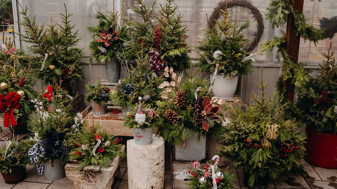 Winter Porch Pots: Bring Cheer to Your Doorstep All Season Long
