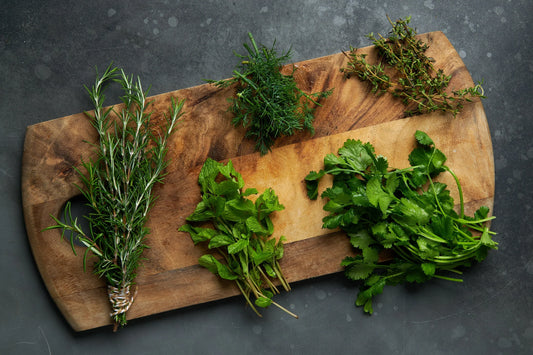 From Garden to Table: Growing Fresh Herbs Outdoors in Wisconsin