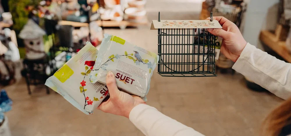 Winter Bird Feeding: Why Suet is a Must-Have