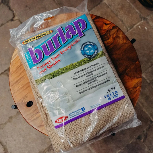 Chill Out! ❄️ Frost Protection + Season Extenders!