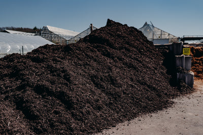 Chocolate Mulch
