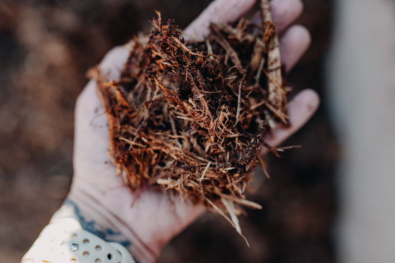 Natural Mulch