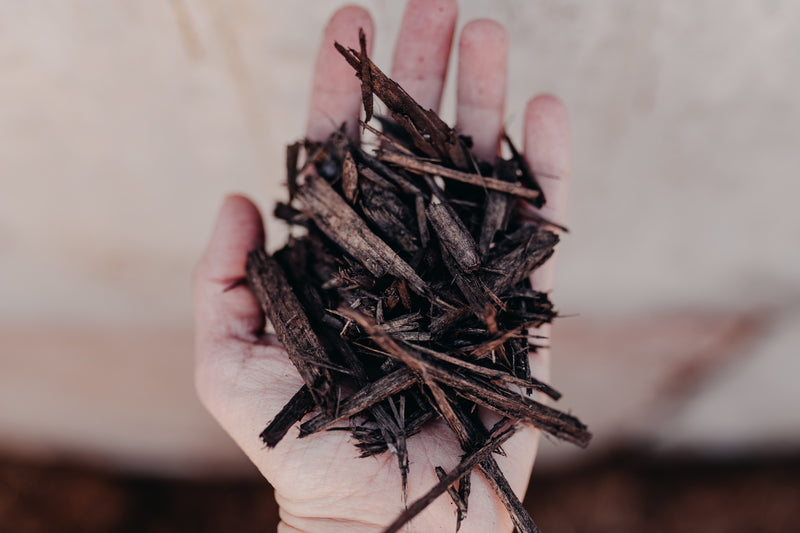 Chocolate Mulch