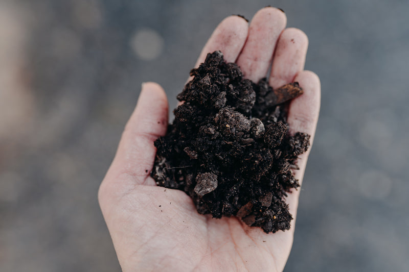 Purple Cow Compost
