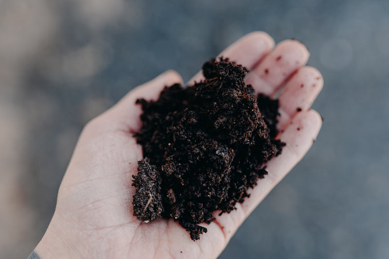 Cowsmo Compost