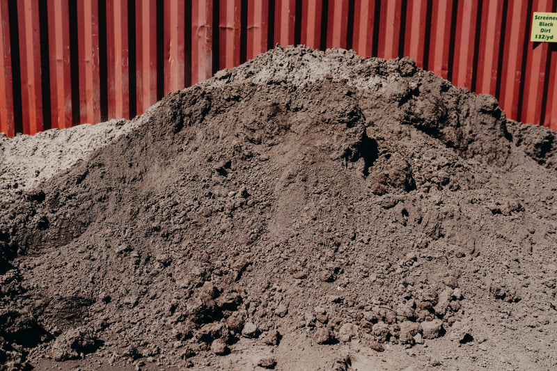 Black Dirt