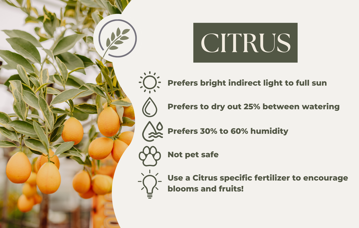 CITRUS