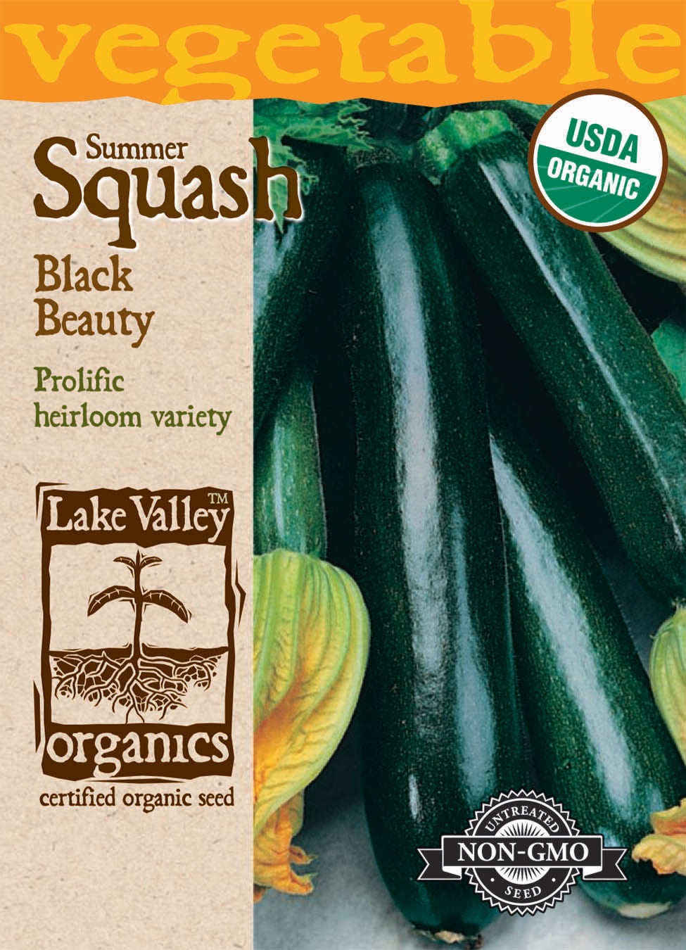 Squash Summer Zucchini Black Beauty Organic LV