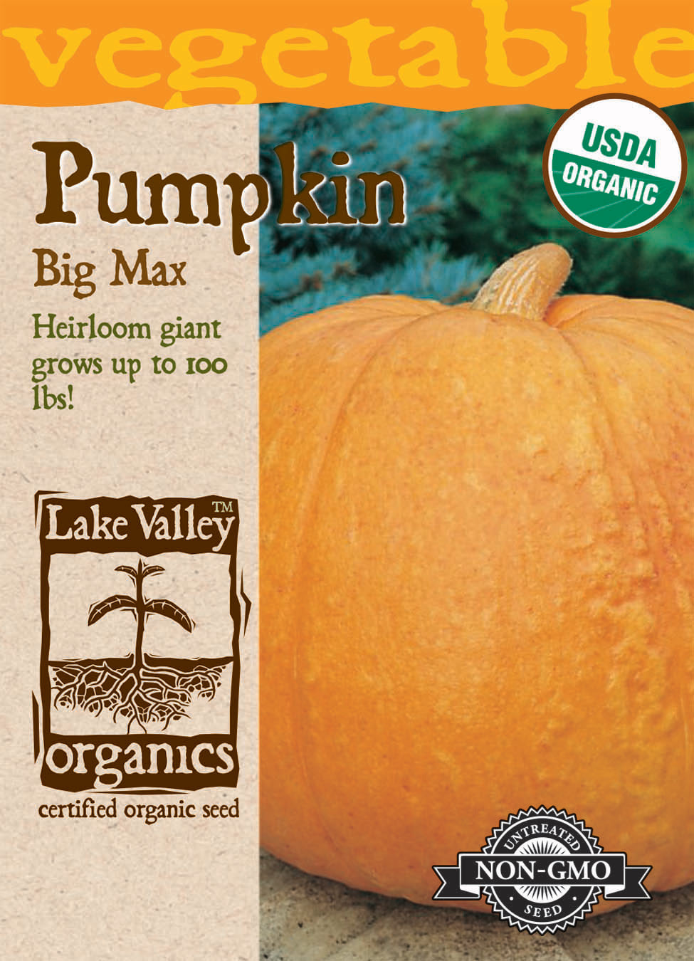 Pumpkin Big Max Organic LV