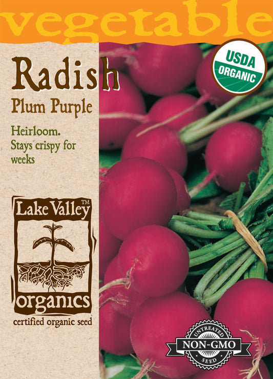 Radish Plum Purple Organic LV