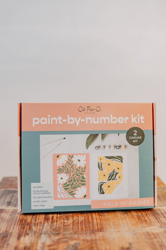 Paint by Number Kit - Assorted