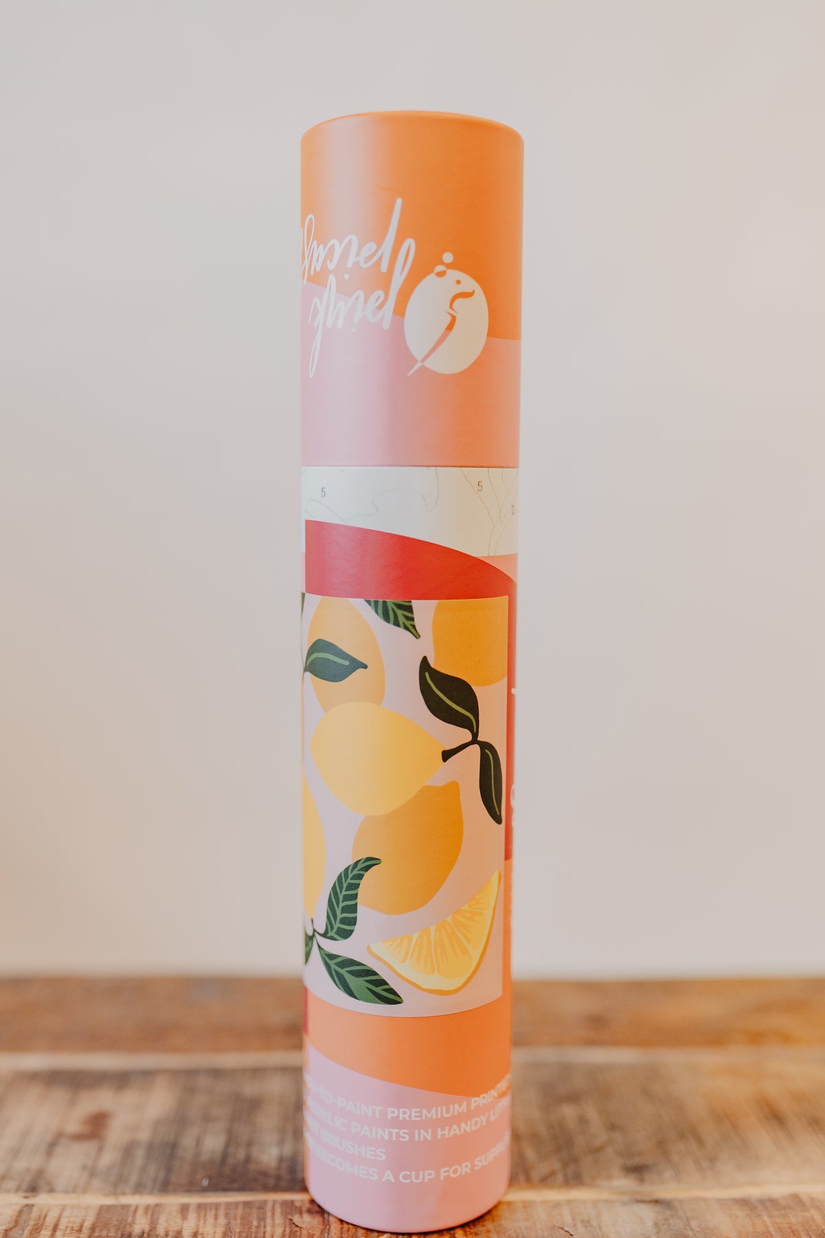 Pink Picasso | Paint By Number Kit