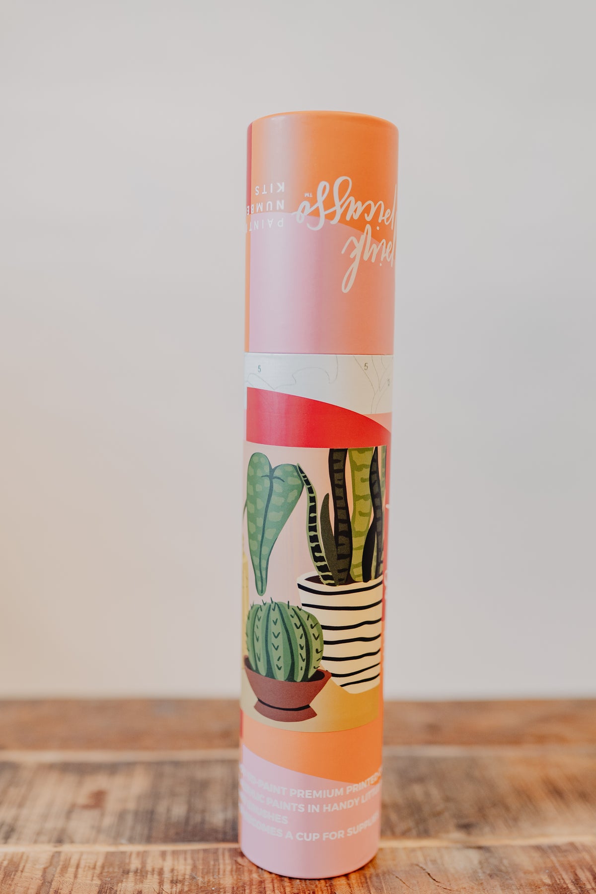 Pink Picasso | Paint By Number Kit