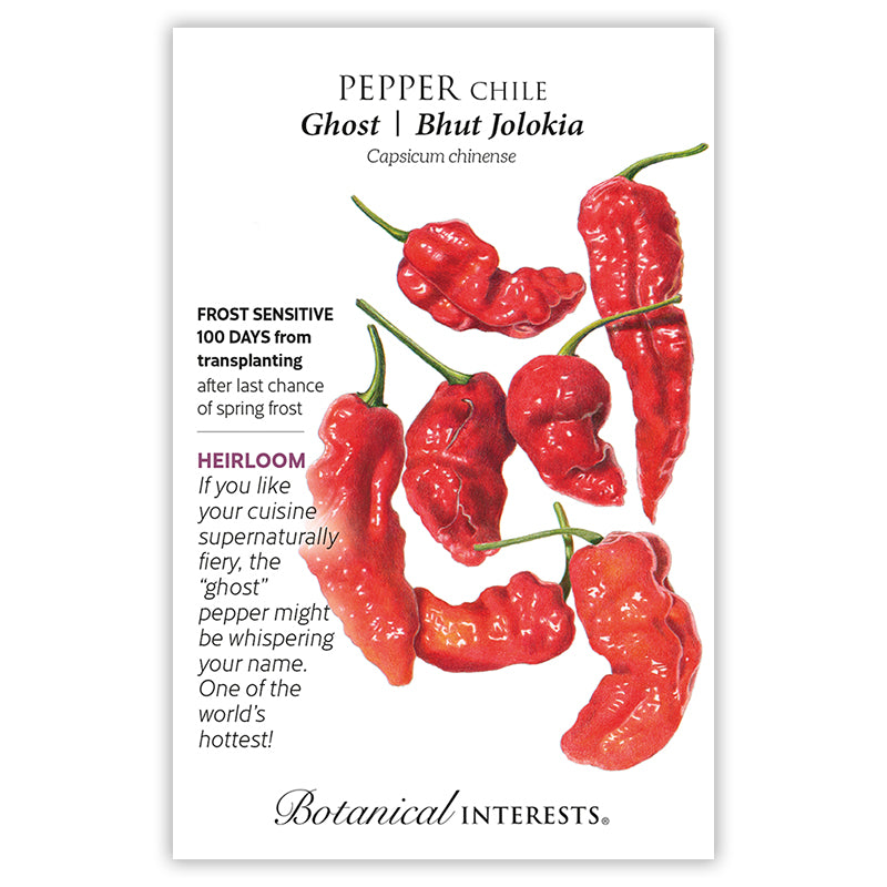 Pepper Chile Ghost Bhut Jolokia BI