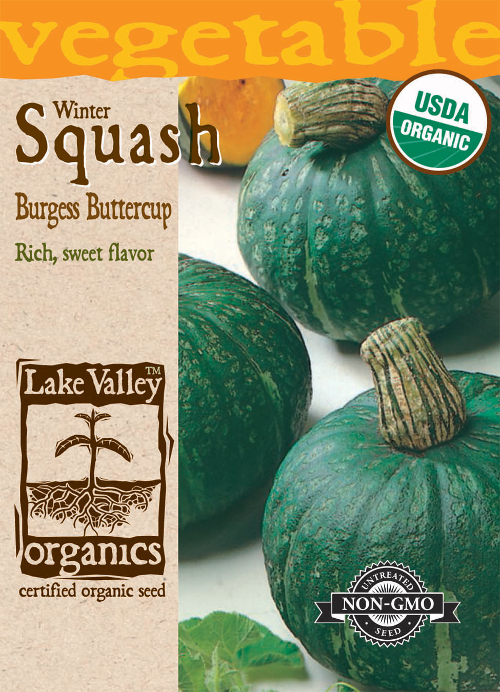 Squash Winter Burgess Buttercup Organic LV