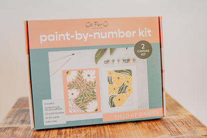 Paint by Number Kit - Assorted