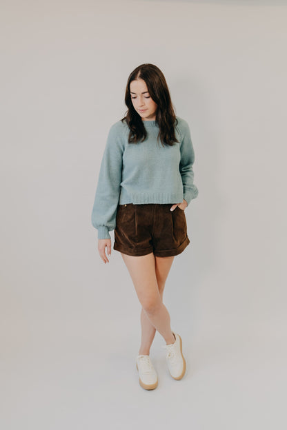 Z Supply | Coming Up Sweater | Soft Succulent