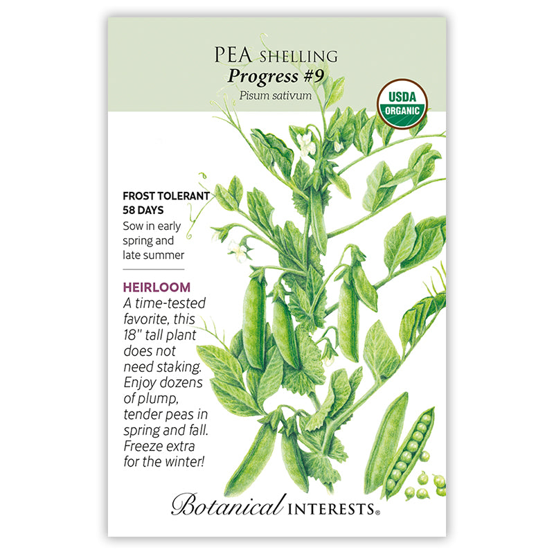 Pea Shelling Progress #9 Org BI
