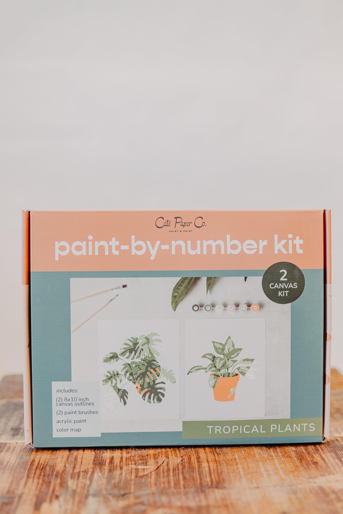 Paint by Number Kit - Assorted