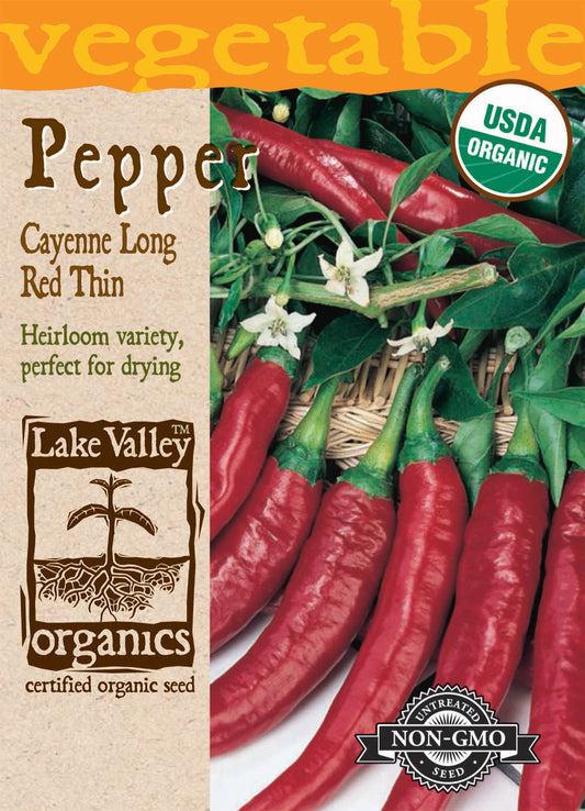 Pepper Hot Cayenne Red Organic LV