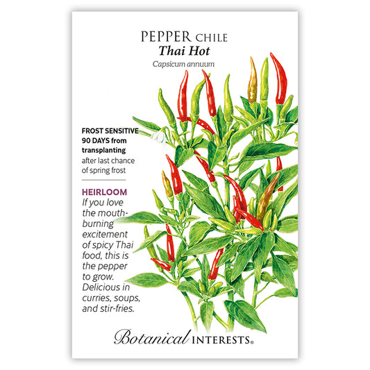 Pepper Chili Thai Hot BI