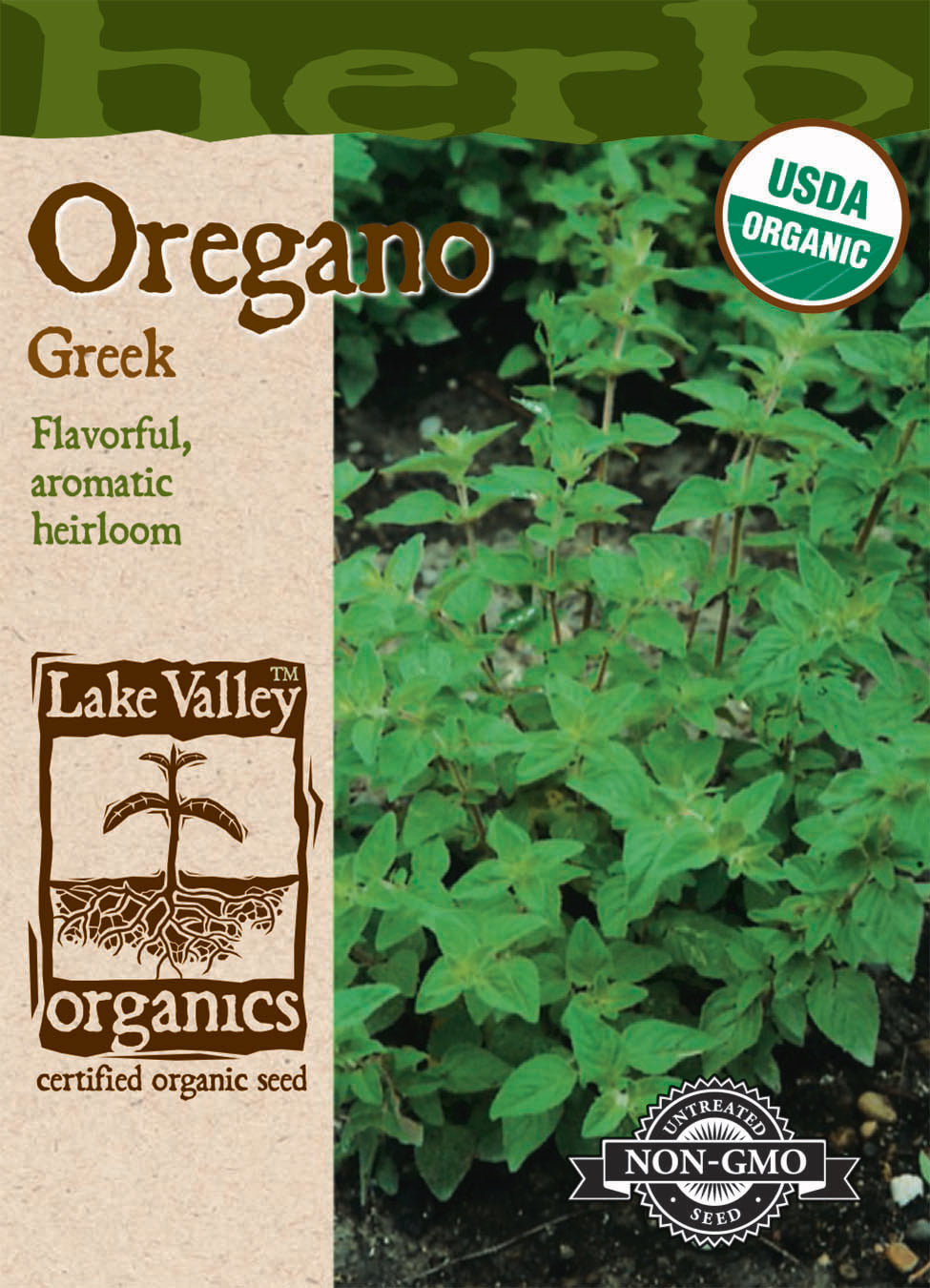 Oregano Greek Heirloom Organic LV