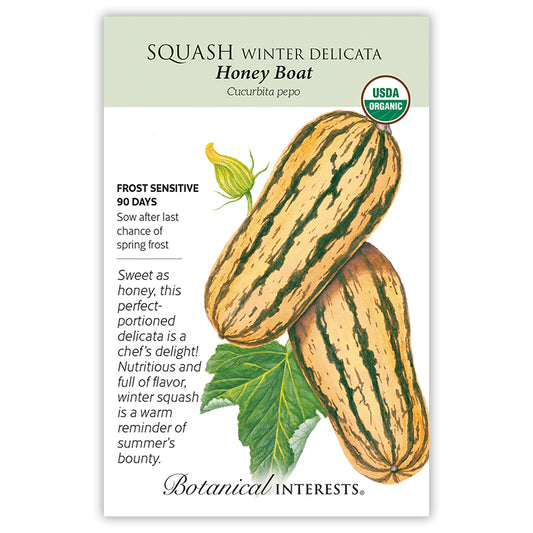 Squash Winter Delicata Org BI