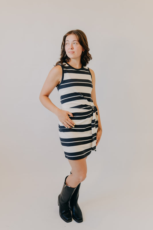 Z Supply | Mattie Striped Mini Dress | Ash Black