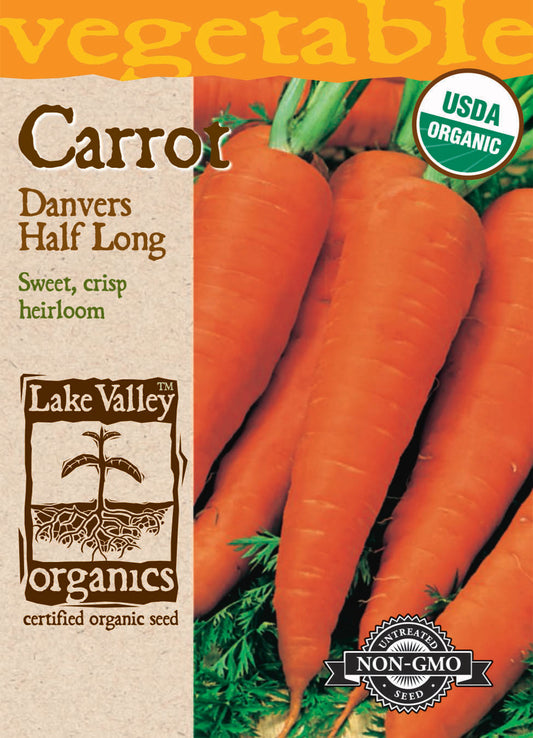 Carrot Danvers Half Long Organic LV