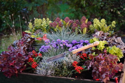 DeWit Rock-N-Root Trowel - Midsize Handle