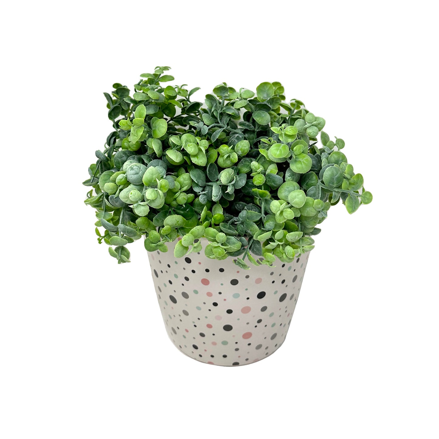 7" Dots Round Self-Watering Bamboo Pot